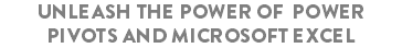unleash the power of power pivots and microsoft excel